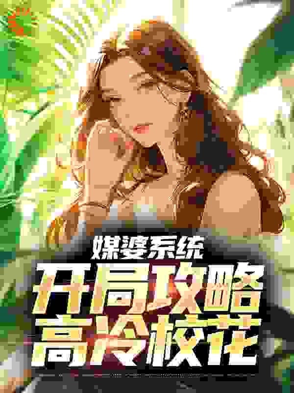 媒婆系统：开局攻略高冷校花完结版