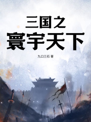 三国之寰宇天下小说免费阅读版