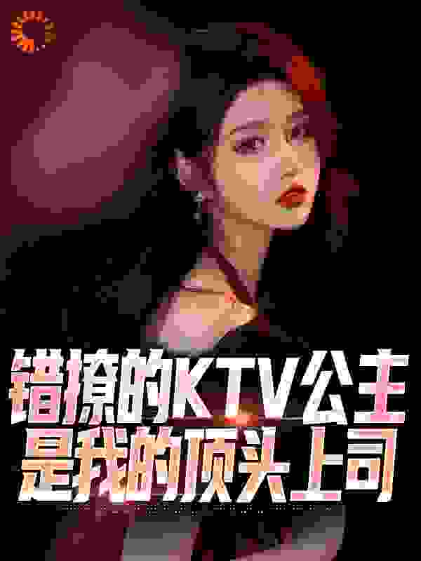 错撩的KTV公主是我的顶头上司作者小小燊燊