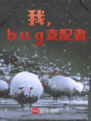 我，bug支配者txt下载